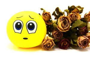 Sad Face Dried Flowers