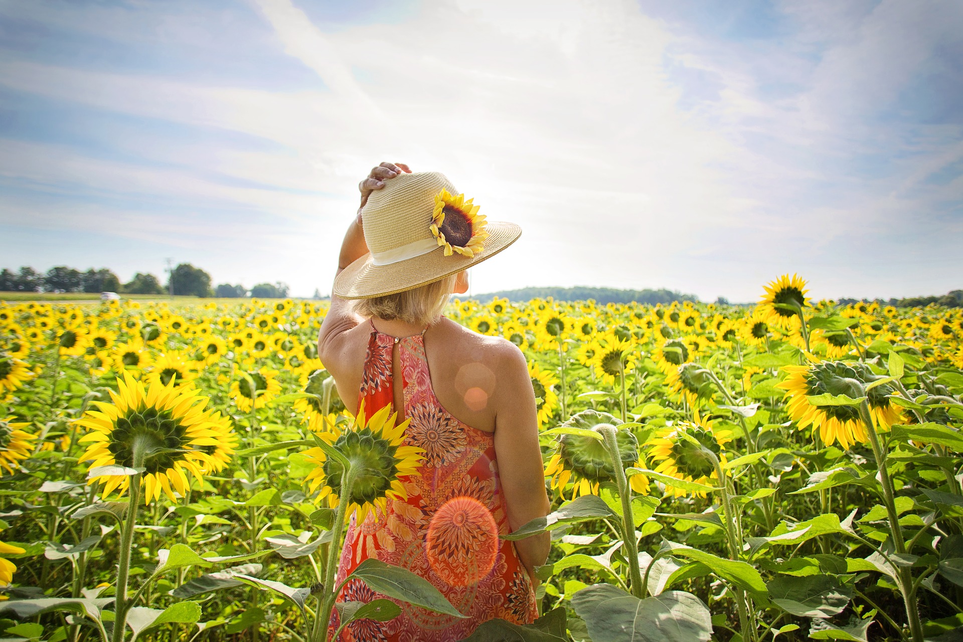 Woman - Sunflowers